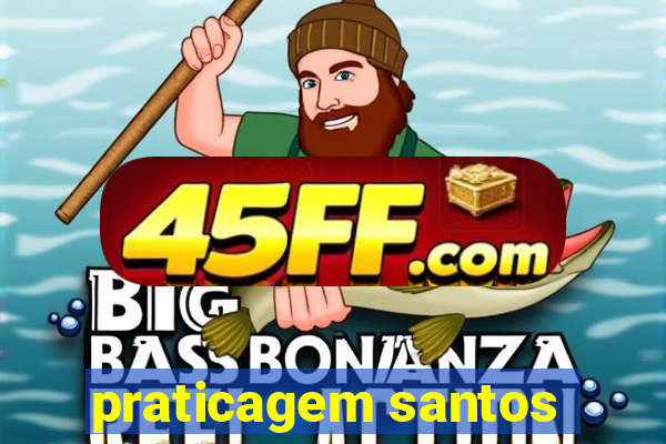 praticagem santos